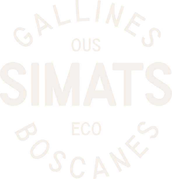 Capa_1